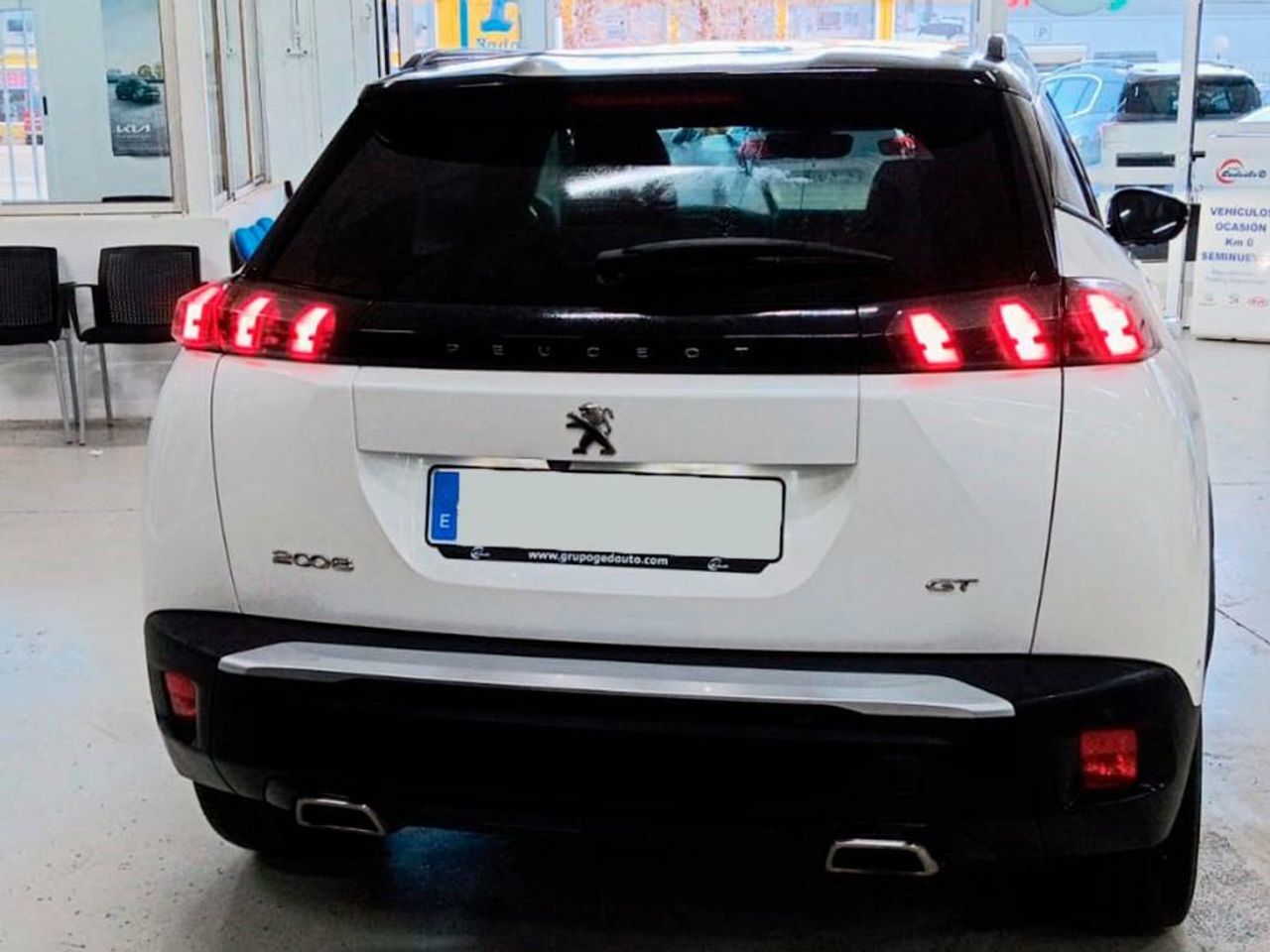 peugeot 2008 2019 / foto grande (2)