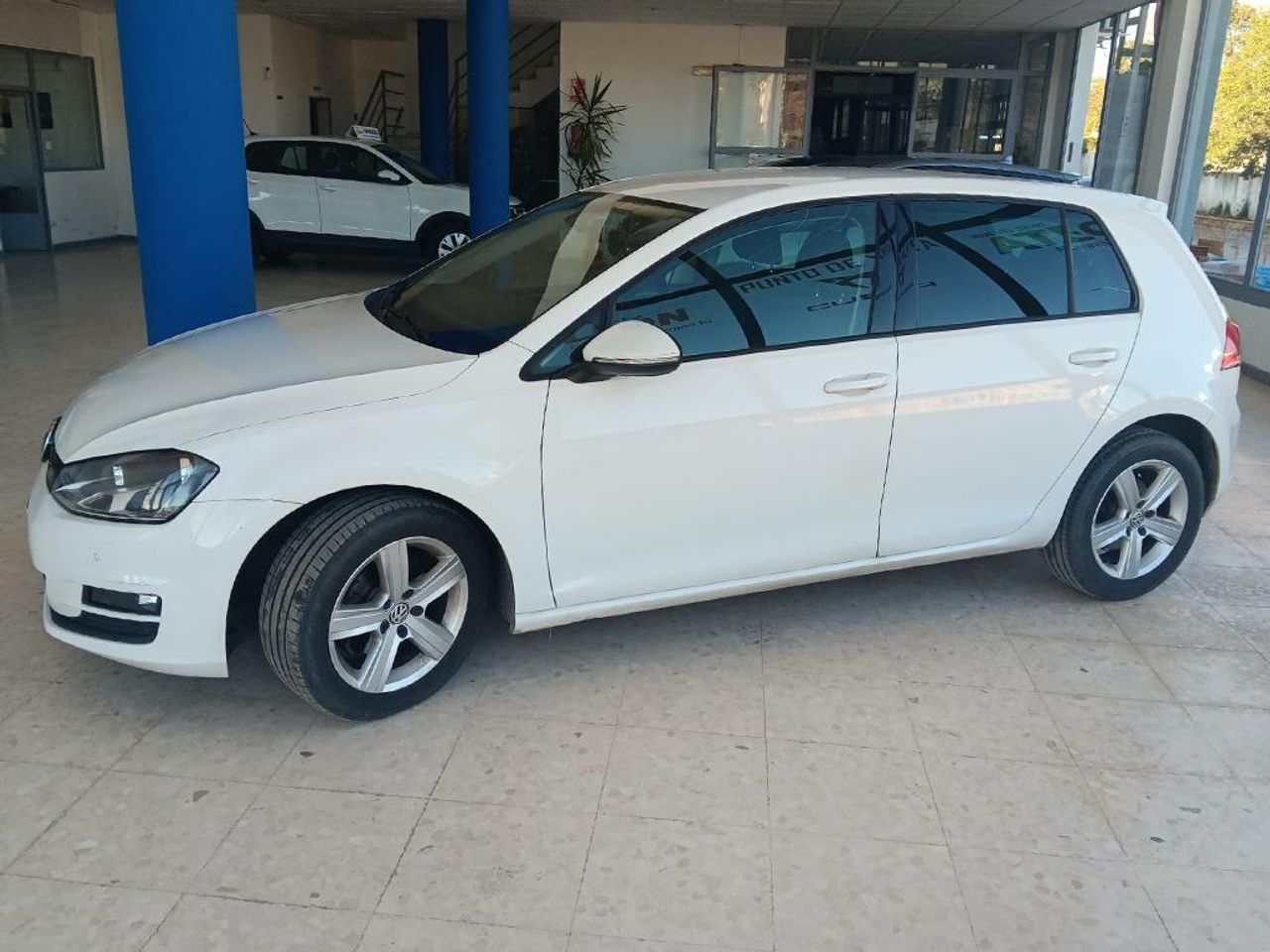 volkswagen golf 2015 / foto grande (2)