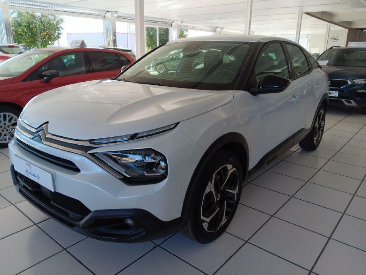 Foto citroën c4 2022 /
