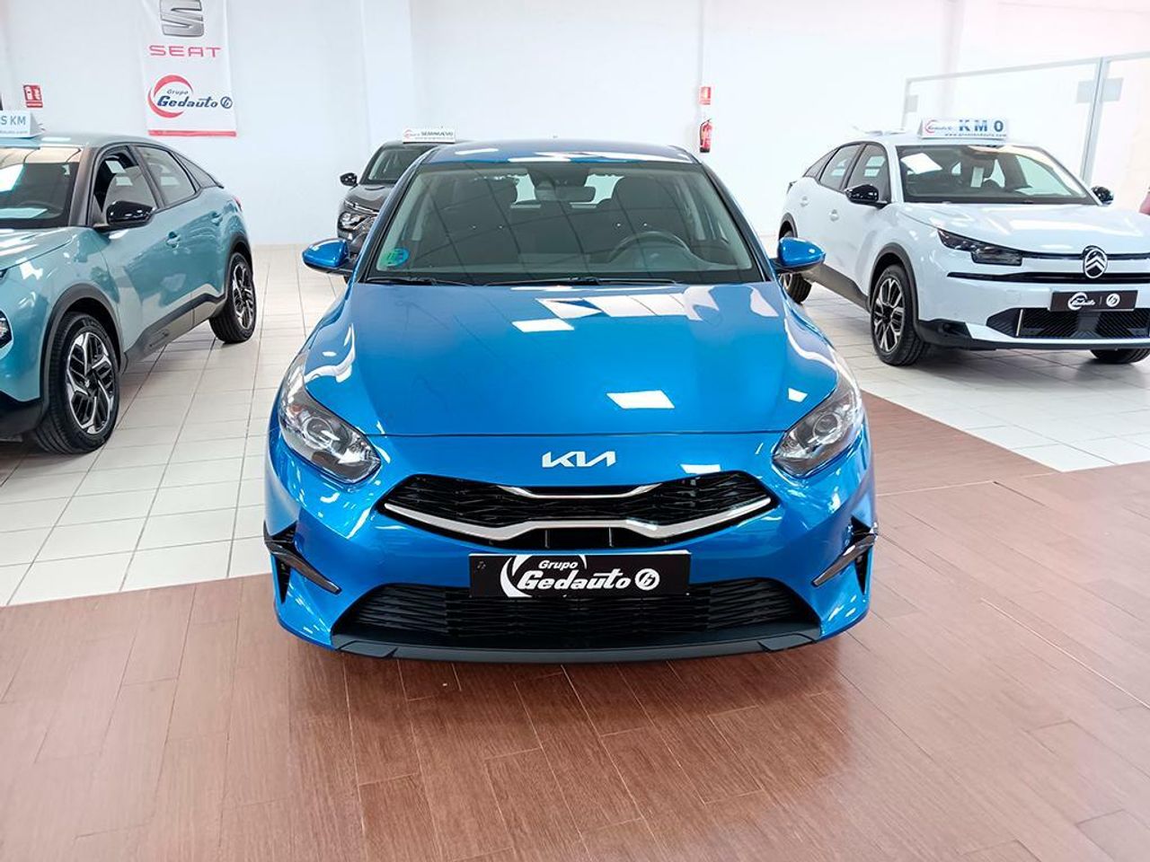 kia ceed 2024 / foto grande (3)