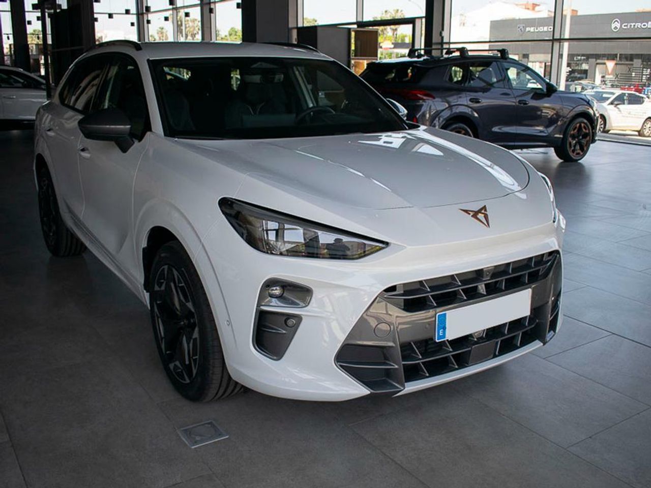 Foto cupra terramar 2025 /