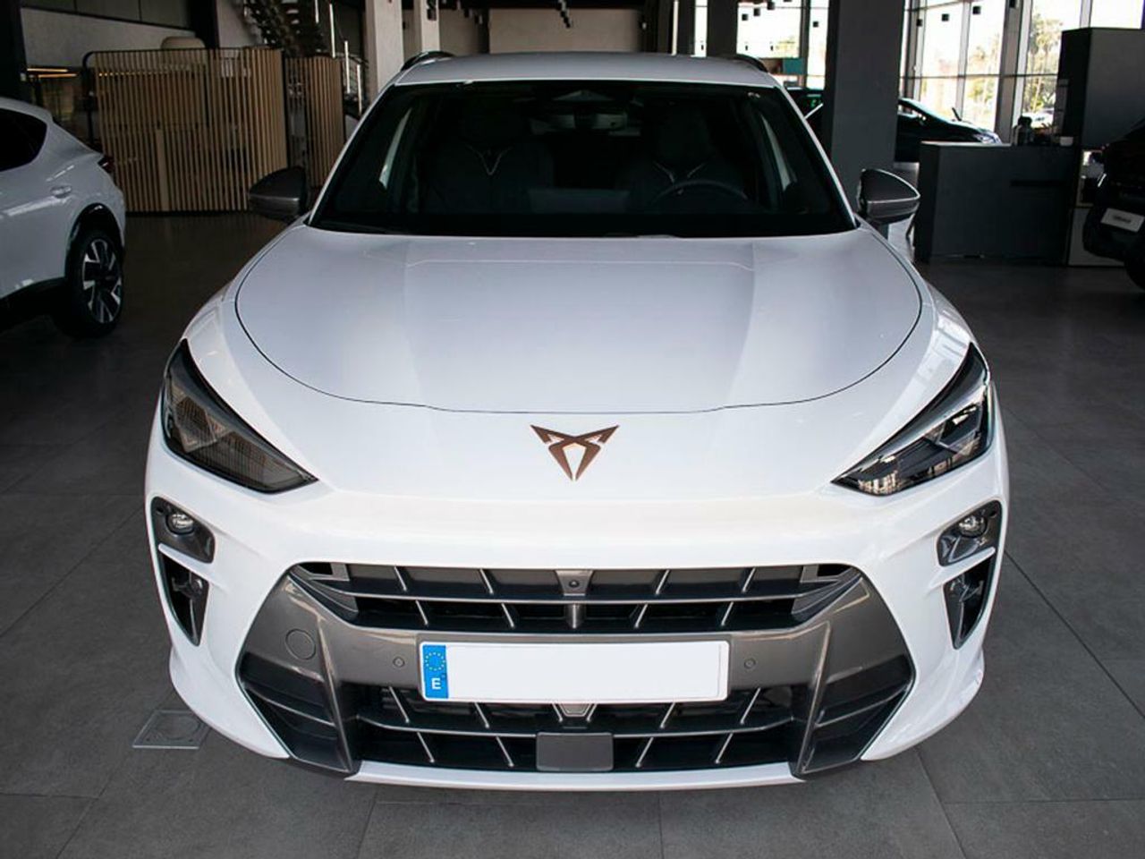 cupra terramar 2025 / foto grande (2)