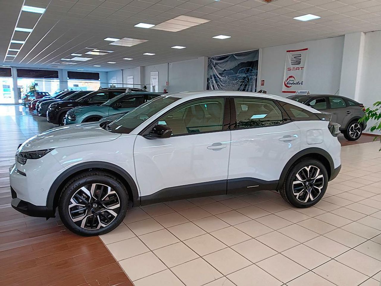citroën c4 2025 / foto grande (3)