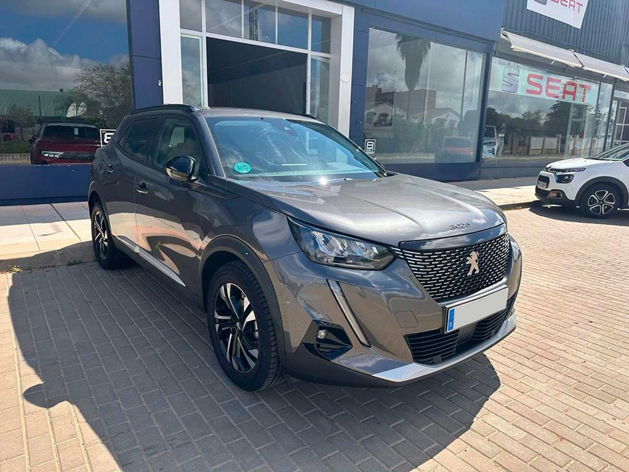 peugeot 2008 2022 / foto grande (2)