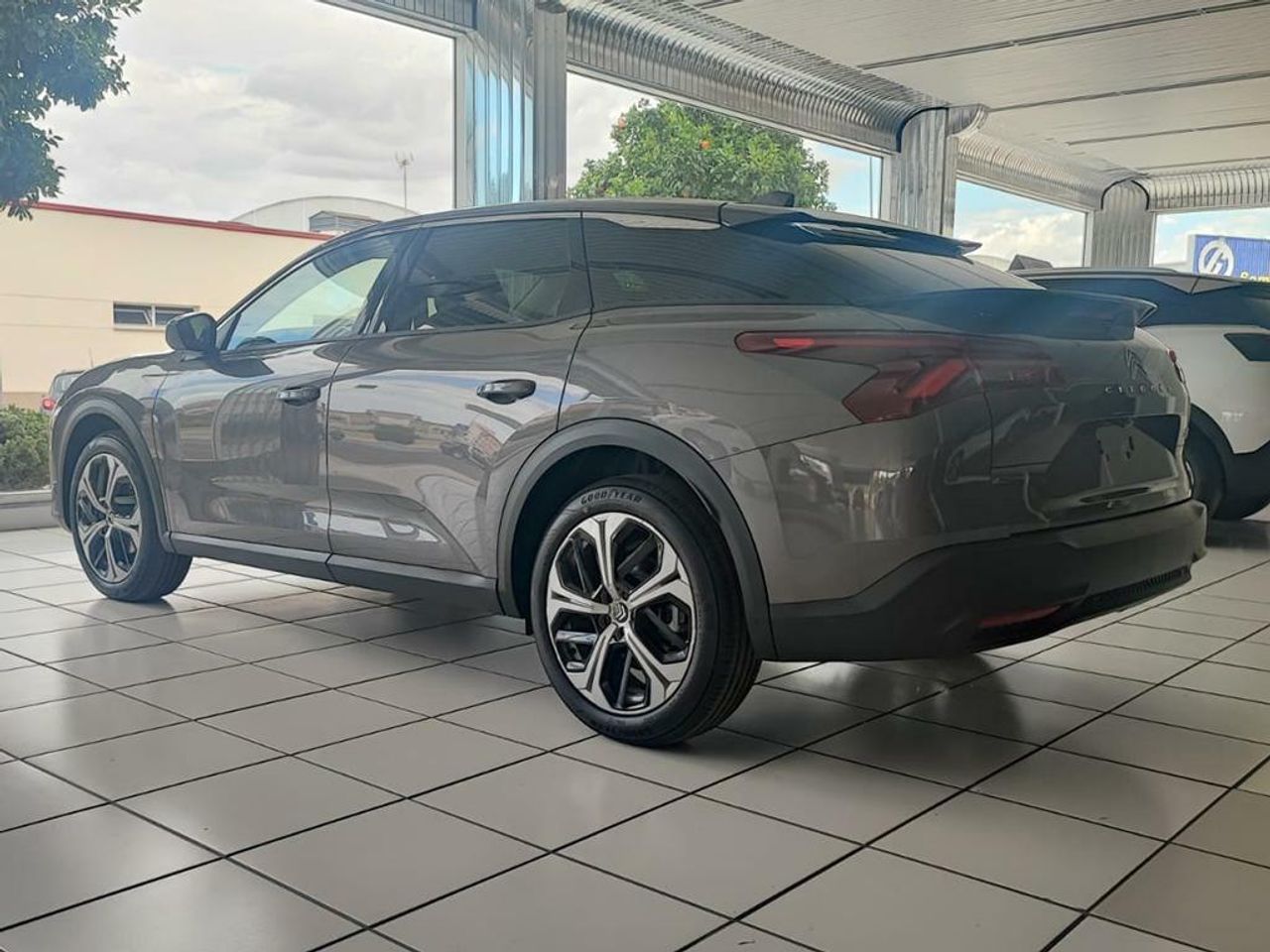 citroën c5 x 2023 / foto grande (3)