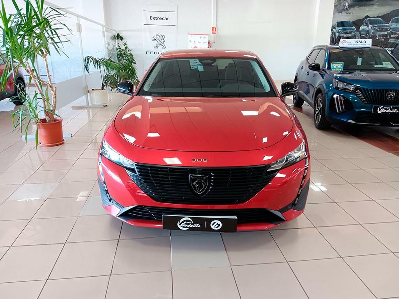 peugeot 308 2023 / foto grande (3)