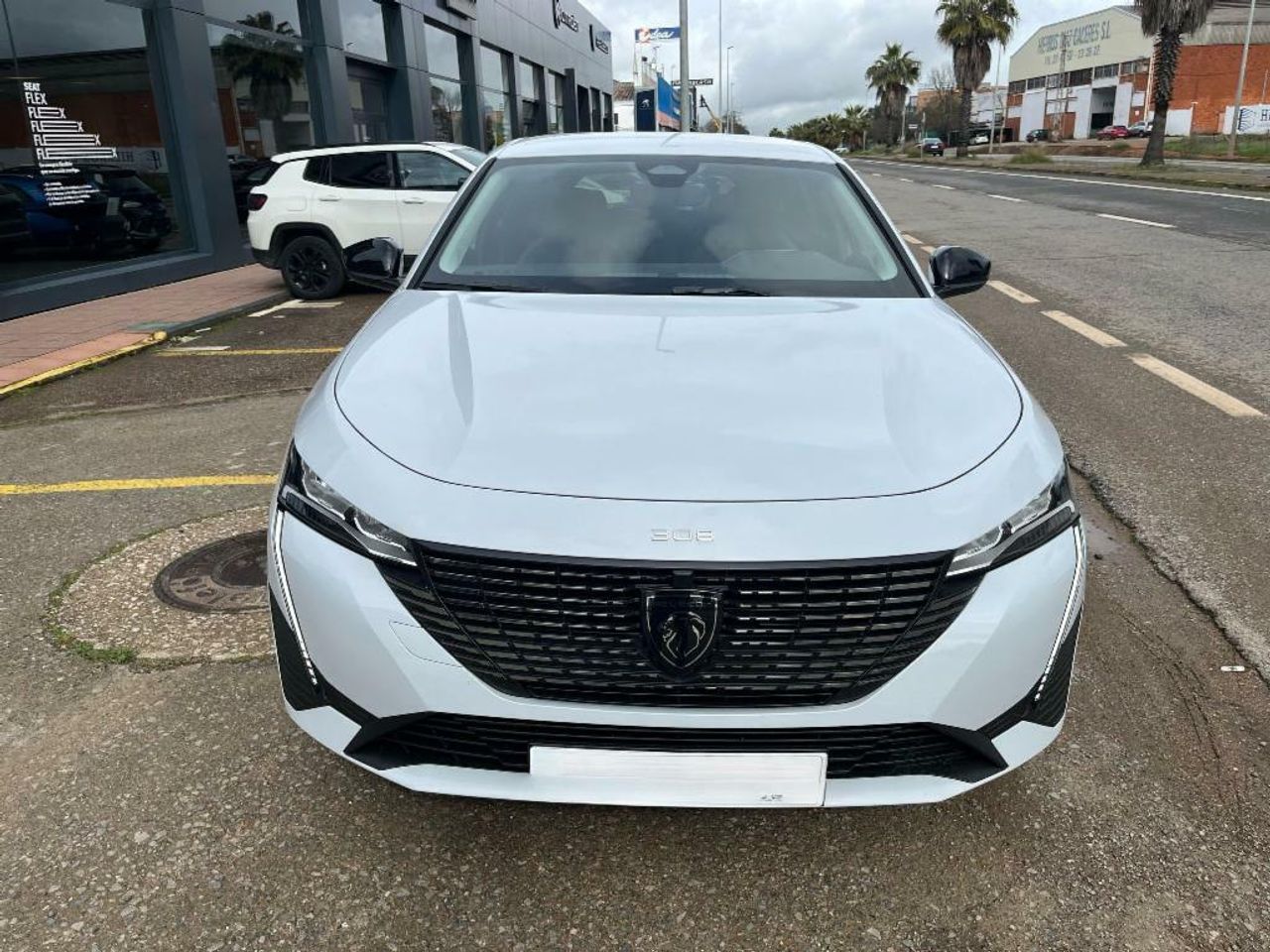 peugeot 308 2024 / foto grande (3)
