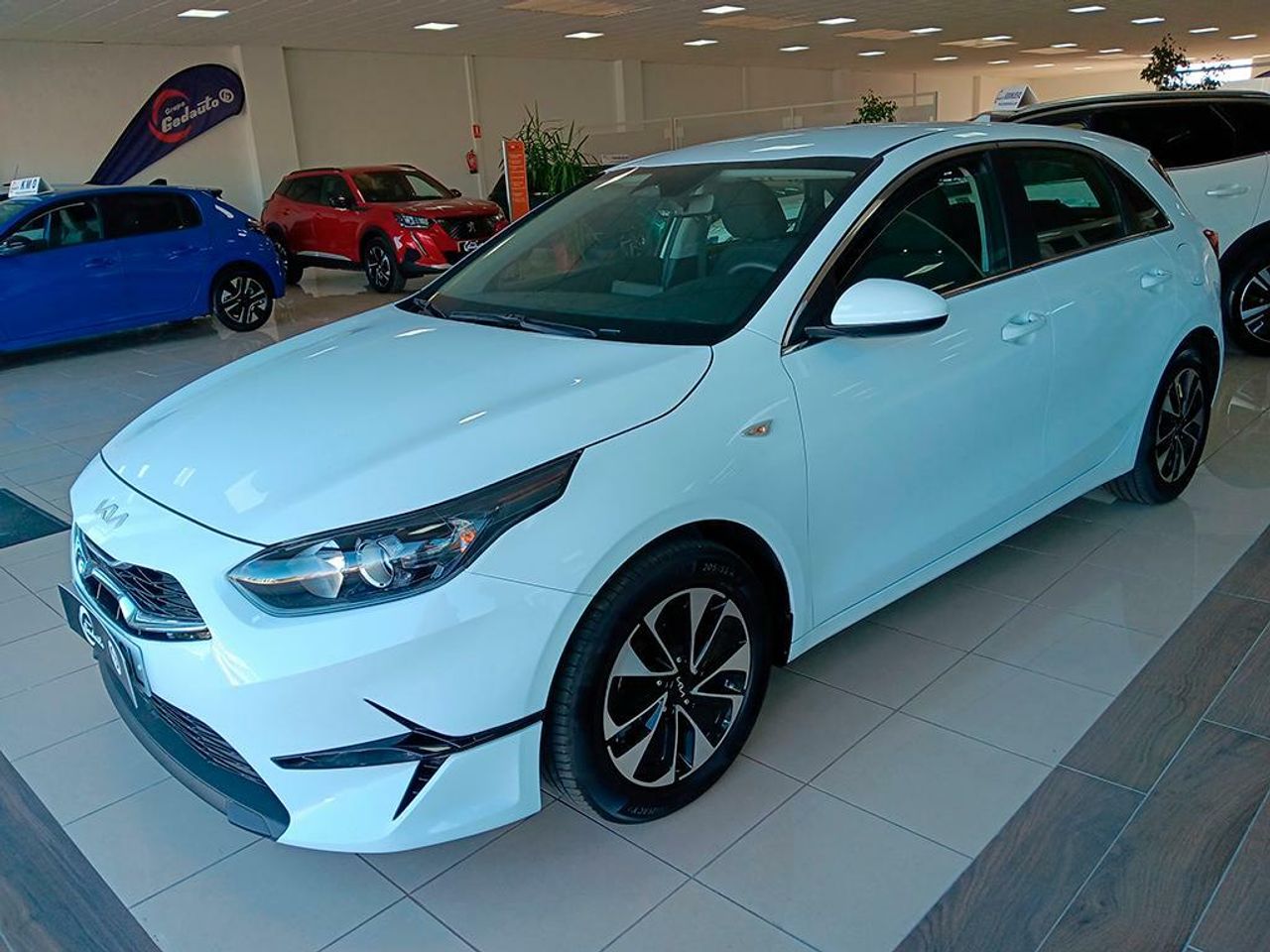 kia ceed 2024 / foto grande (2)