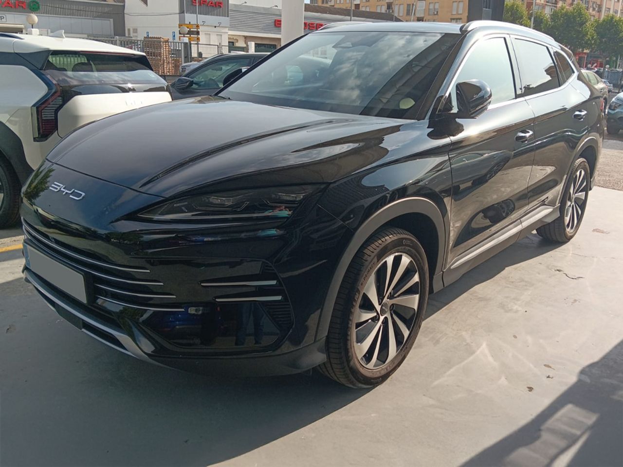 Foto byd seal 2025 /
