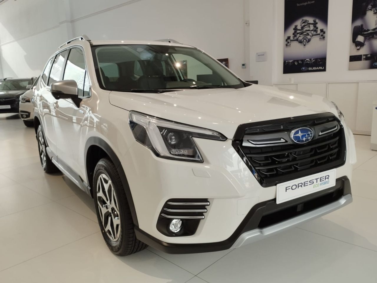 subaru forester 2024 /