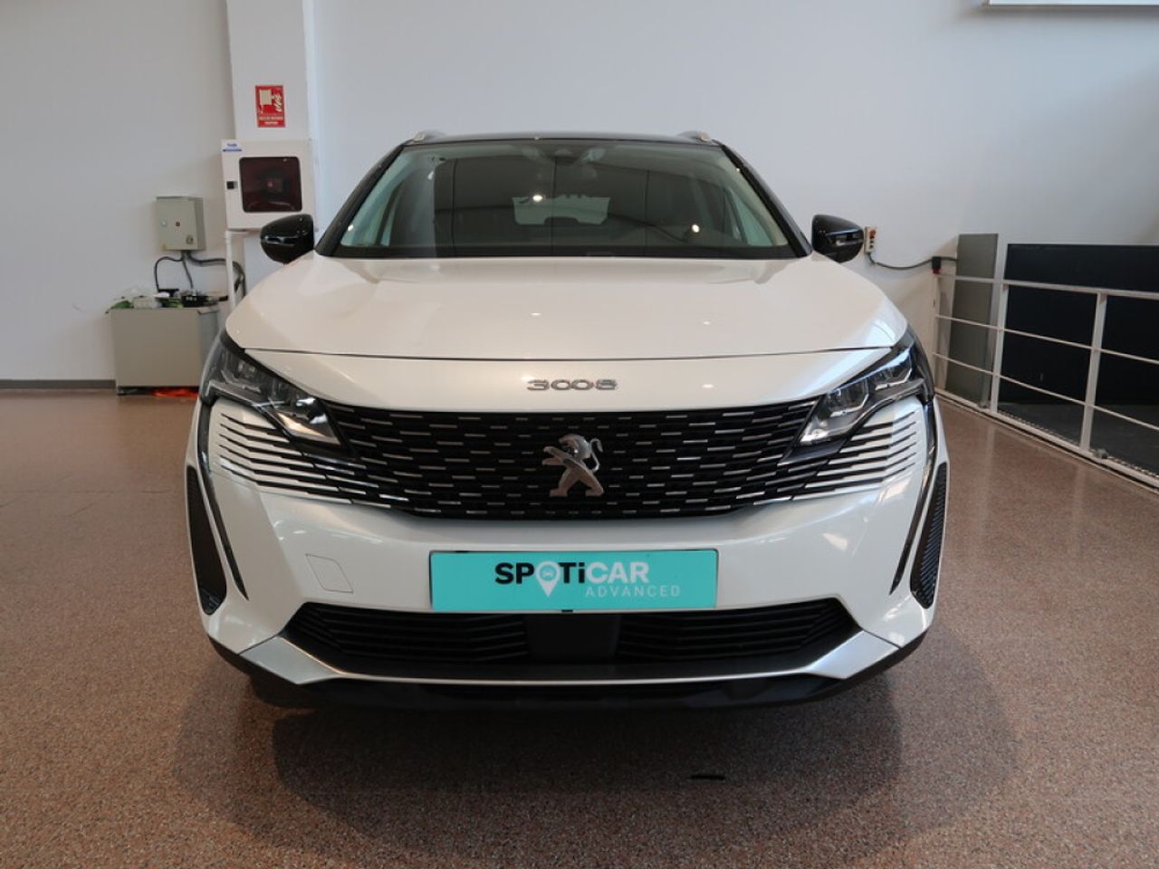peugeot 3008 2021 / foto grande (3)