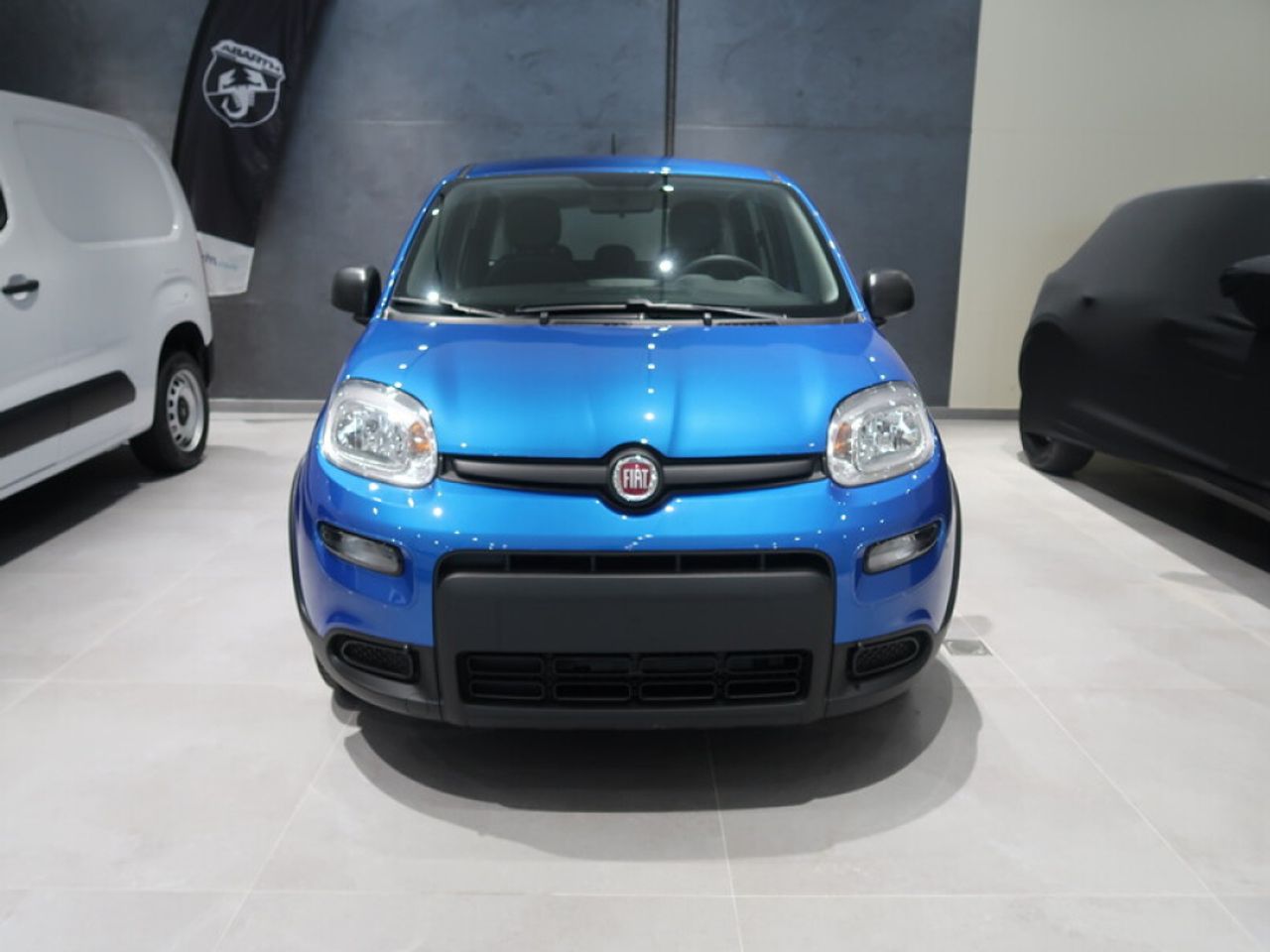 fiat panda 2025 / foto grande (3)