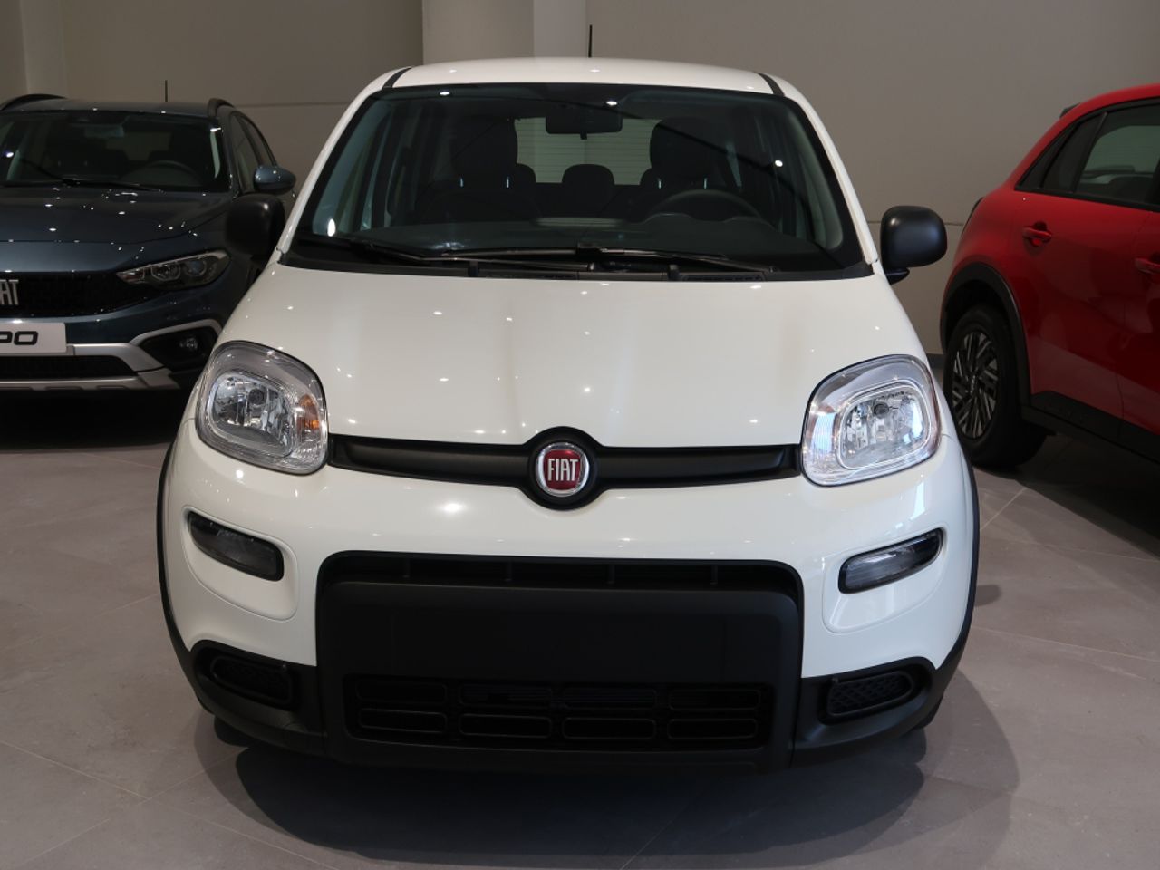 fiat panda 2025 / foto grande (3)