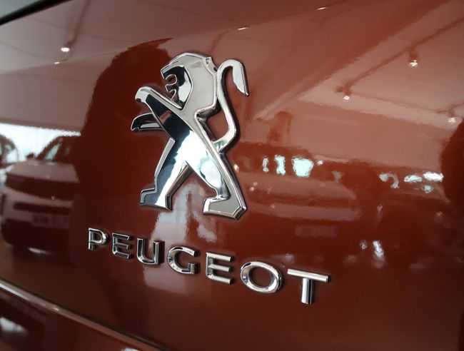 Imatge del vehicle 21