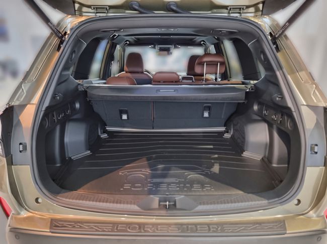 Imatge del vehicle 21