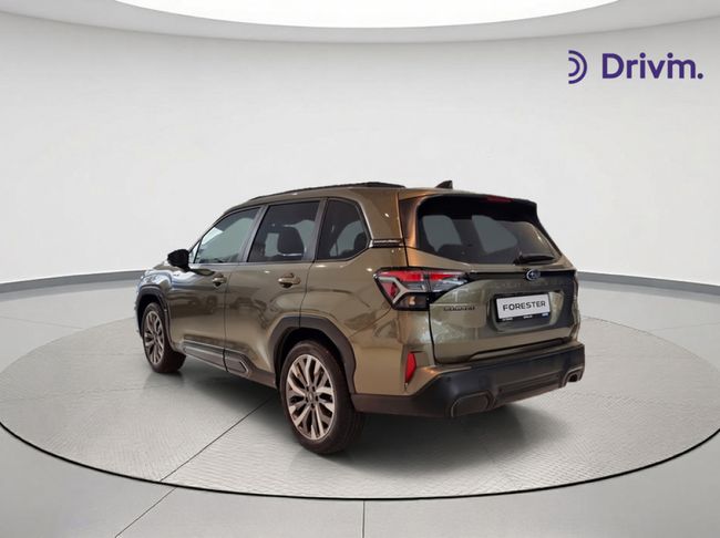 Imatge del vehicle 7