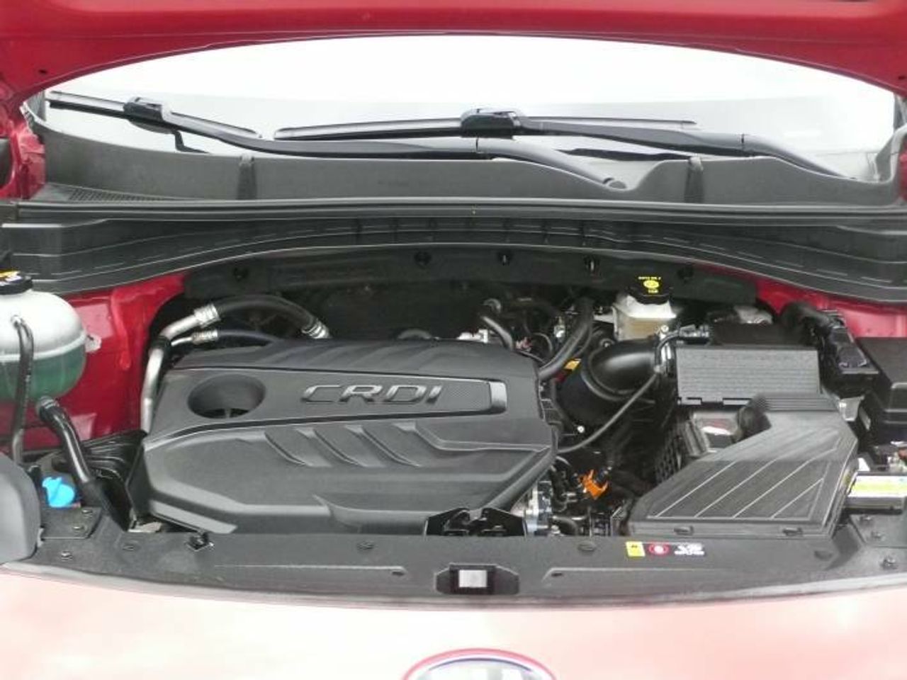 Kia Sportage 1.6 CRDi hybrid Business 2wd 135cv AT7 E6dt  - Foto 41
