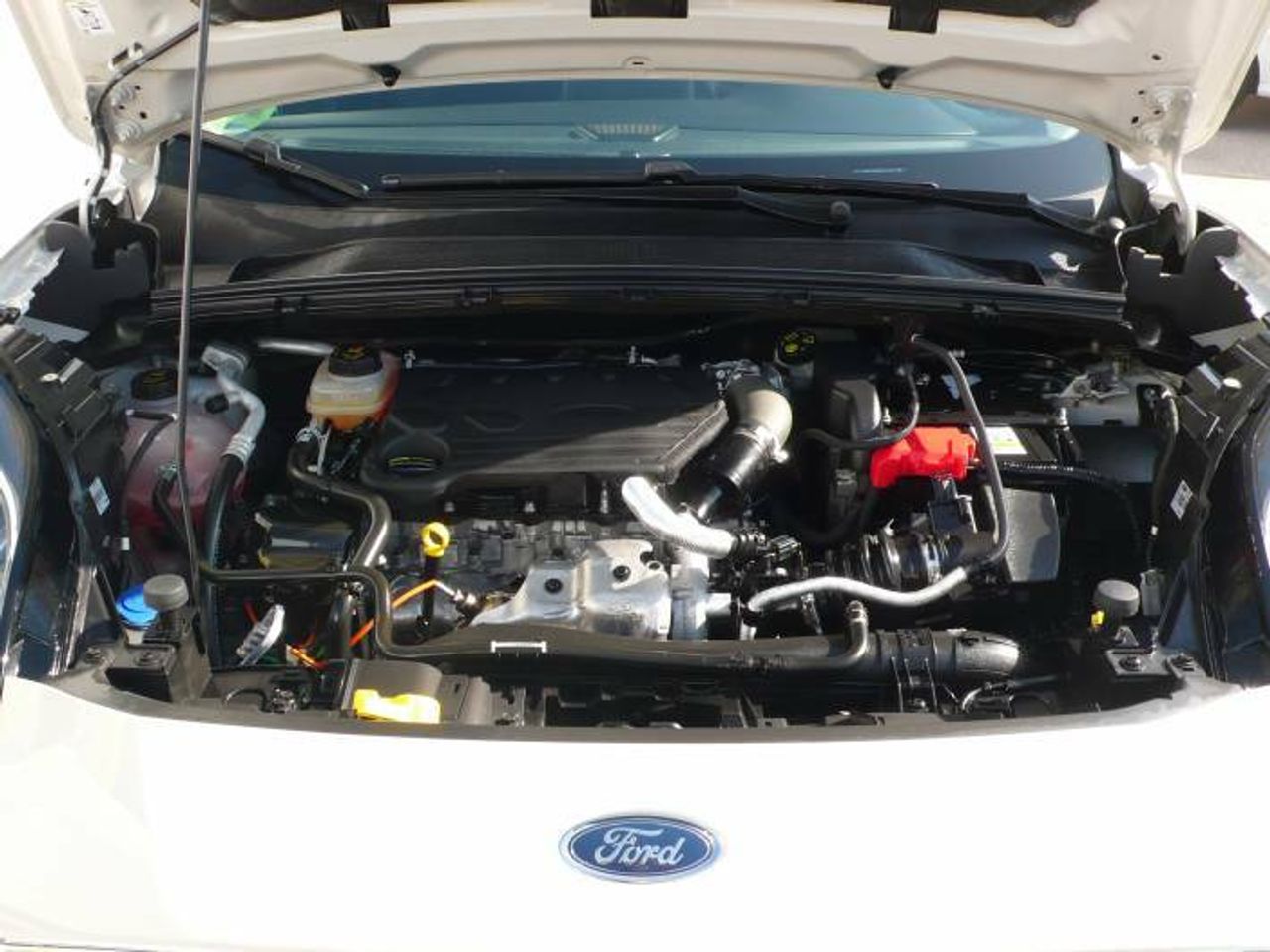 Ford Puma 1.5 Ecoblue 120cv Titanium  - Foto 45