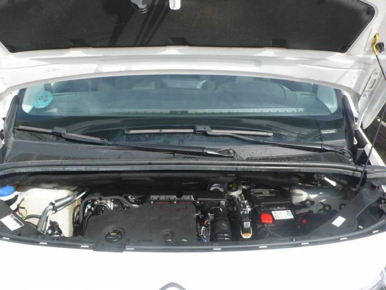 Citroën Berlingo LIVE M 1.5 BLUEHDI  - Foto 28