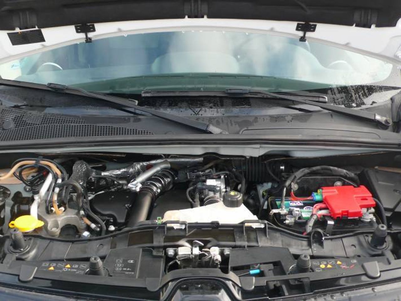 Renault Kangoo Profesional N1 Energy dCi 66kW (90CV)  - Foto 21