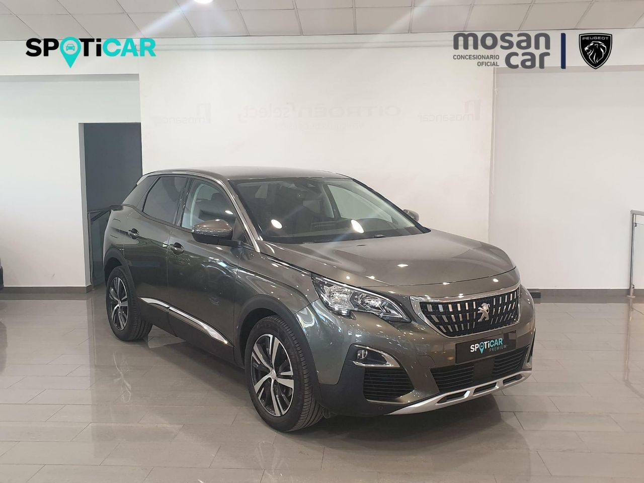 peugeot 3008 2019 / foto grande (3)
