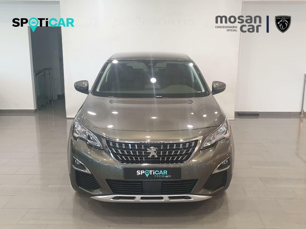 peugeot 3008 2019 / foto grande (2)
