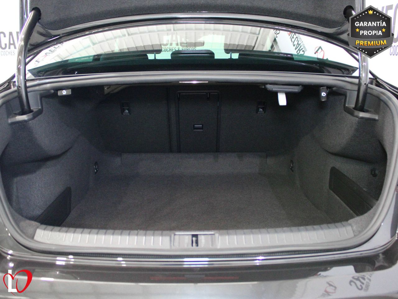 Volkswagen Passat Executive 2.0 TDI 110kW (150CV) DSG - foto 26