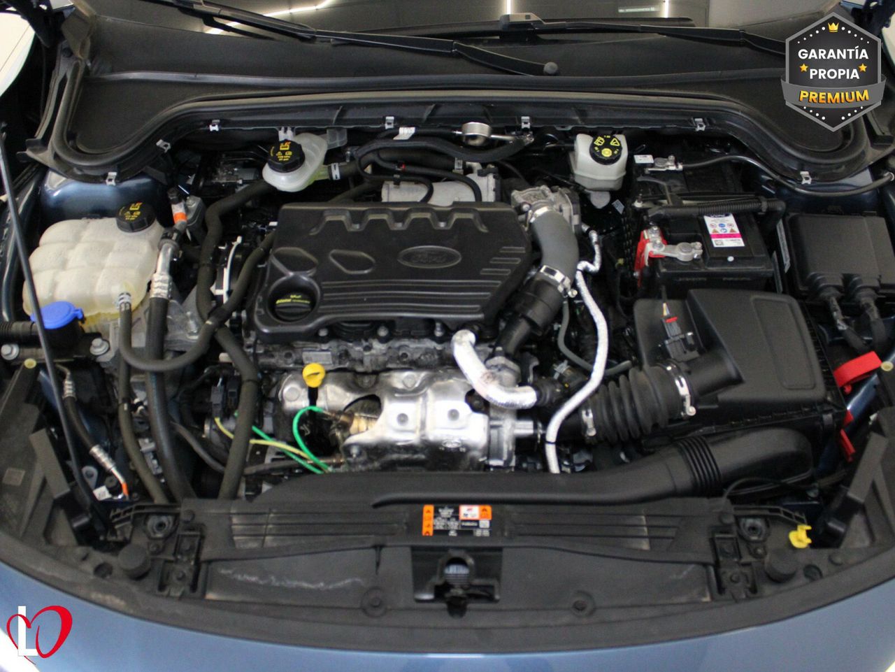 Ford Focus 1.5 Ecoblue 88kW Trend+ Auto - Foto 11