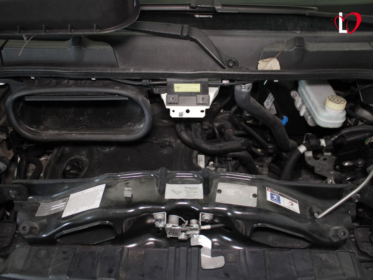 Peugeot Boxer 335 L2 H2 BlueHDi ISOTERMO + EQUIPO FRIO 130 (0 GRADOS) - Foto 14