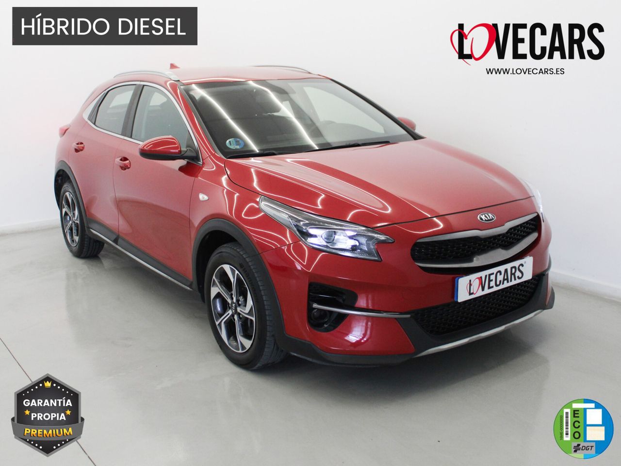 Brugt Kia Xceed 1.6