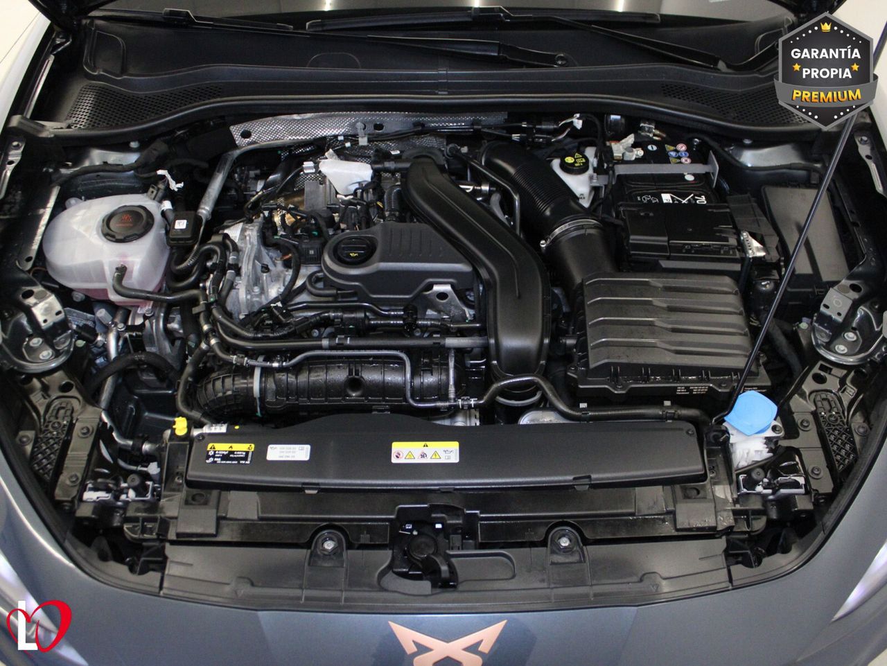 Cupra León 1.5 eTSI 110kW (150CV) DSG - Foto 14
