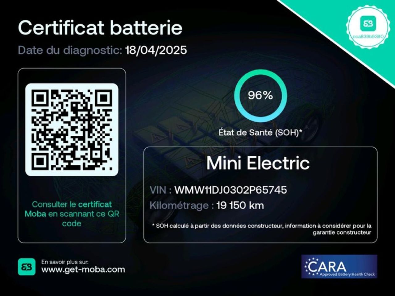 mini mini 2021 / foto grande (3)