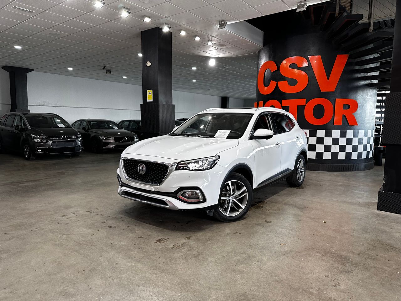 mg ehs 2023 / foto grande (2)