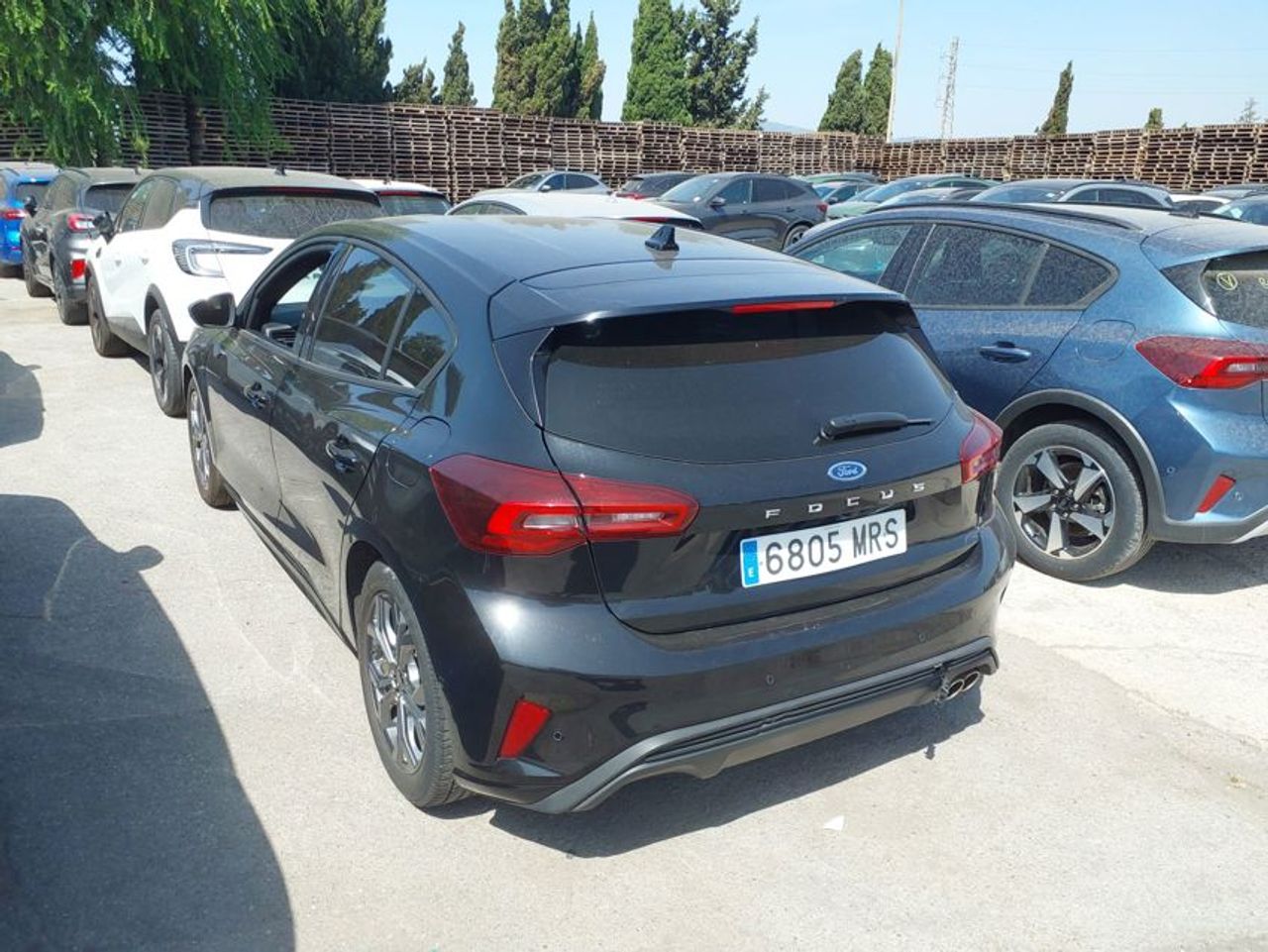 ford focus 2024 / foto grande (2)