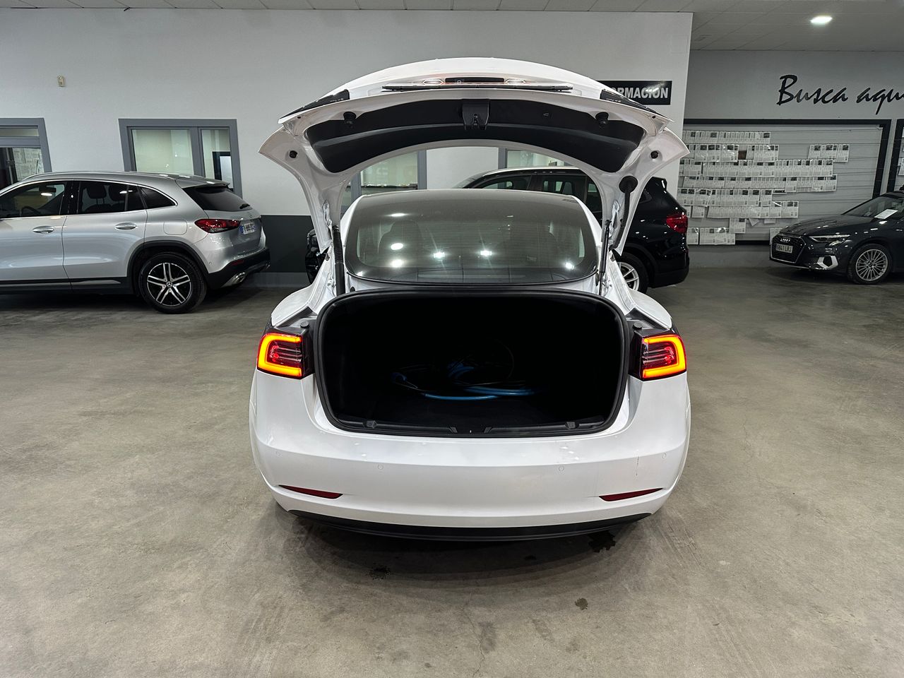 Tesla Model 3 Performance 4WD - Foto 9