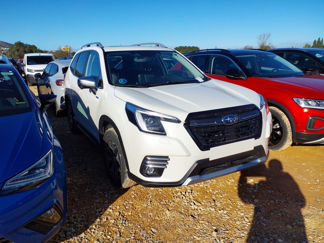 Subaru Forester 2.0HEV 150CV EXECUTIVE PLUS - Foto 3