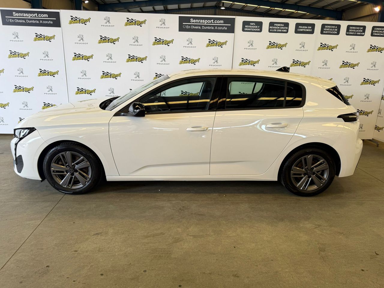 peugeot 308 2024 / foto grande (2)