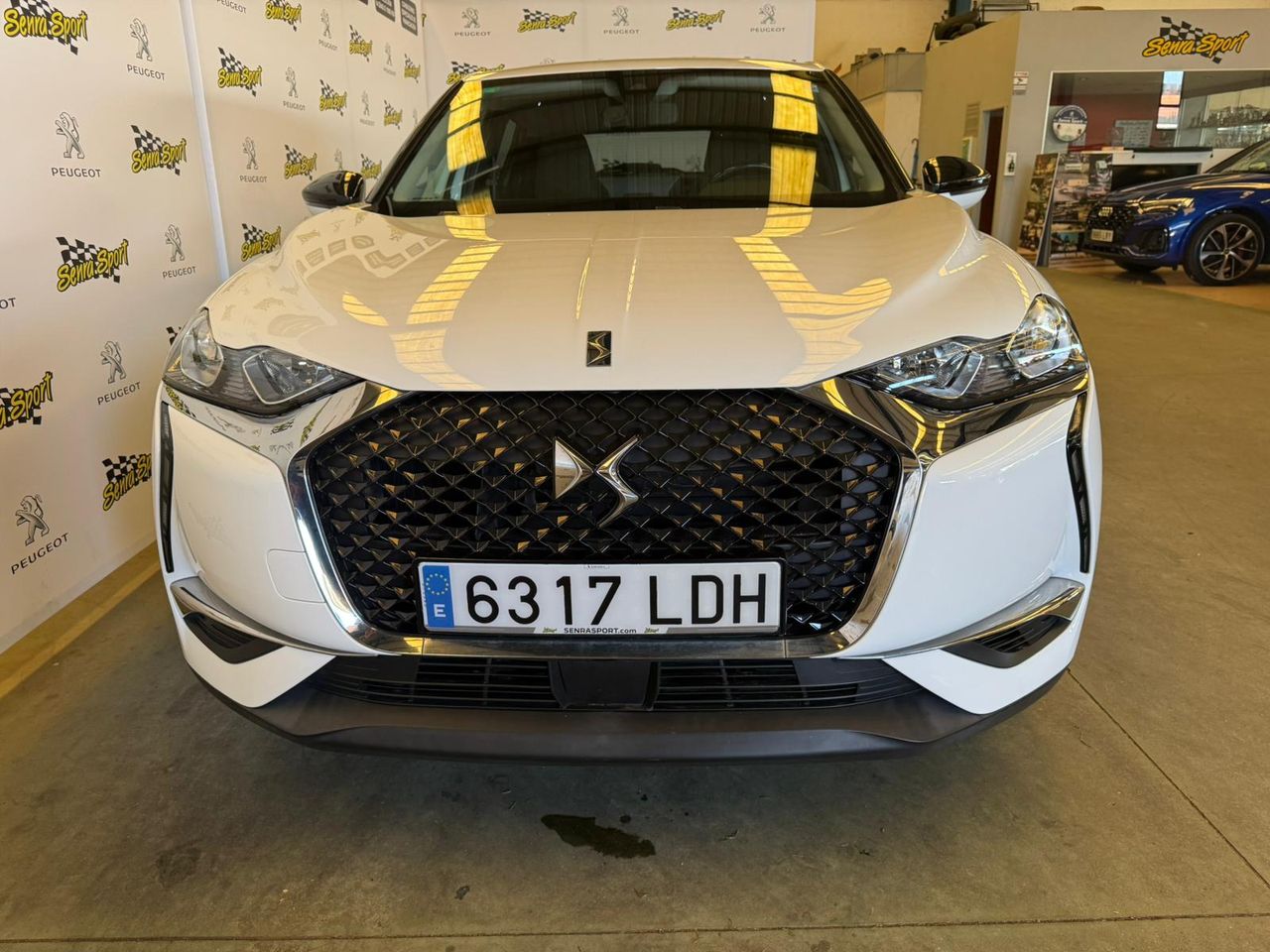 ds ds 3 2019 / foto grande (3)