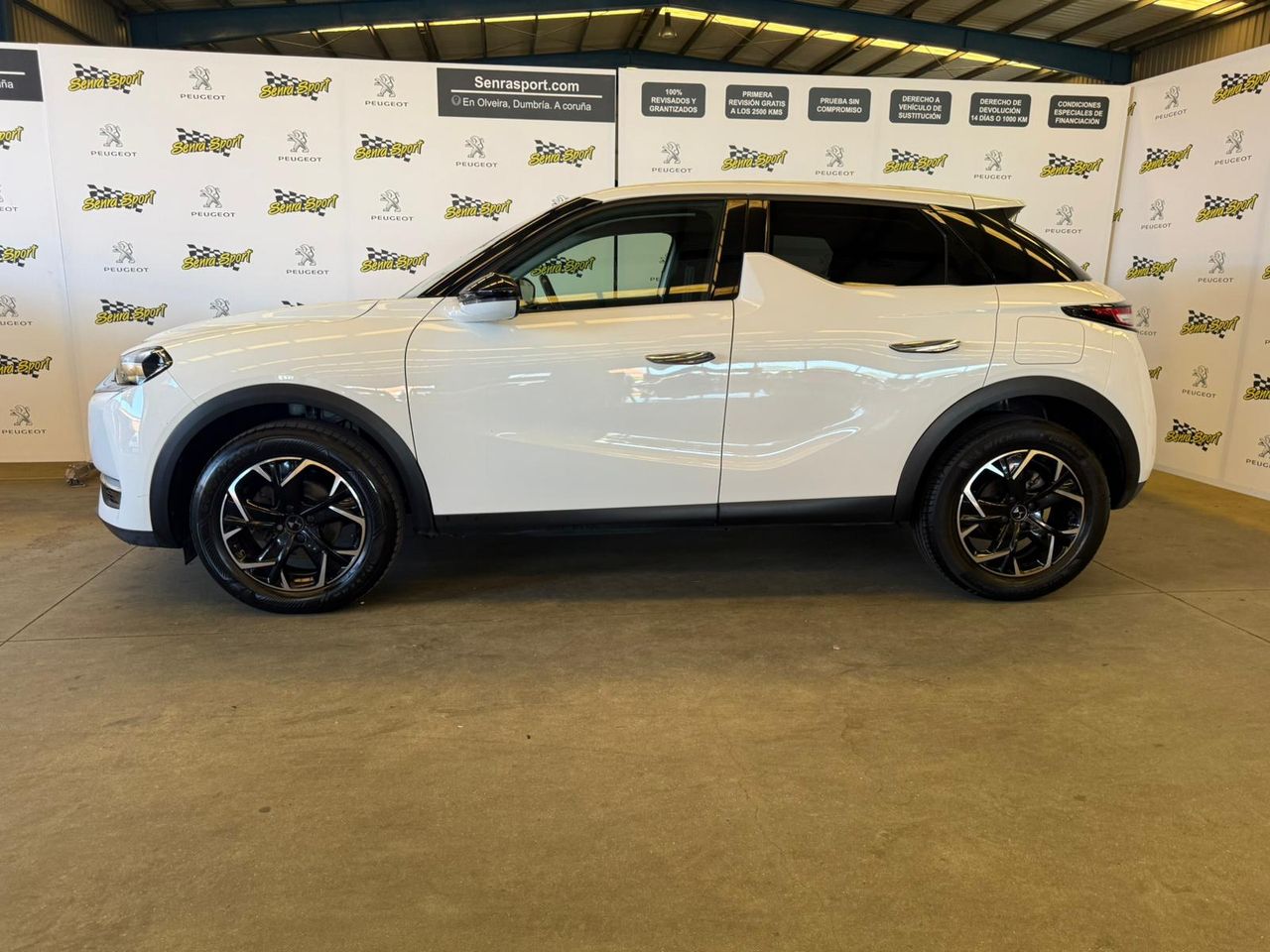 ds ds 3 2019 / foto grande (2)