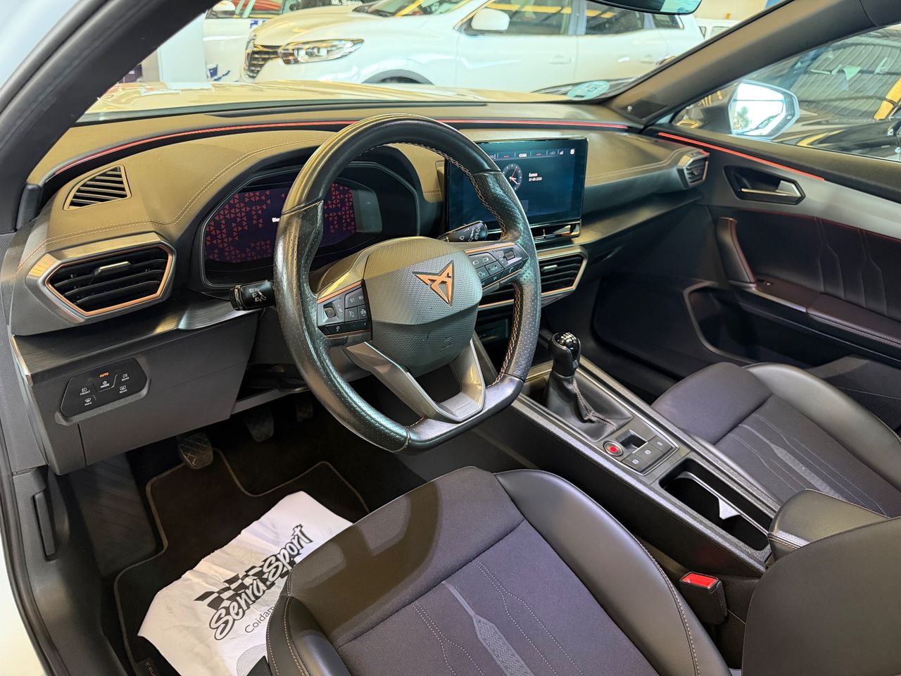 Cupra Formentor 2.0 TDI 110kW (150 CV) - Foto 10