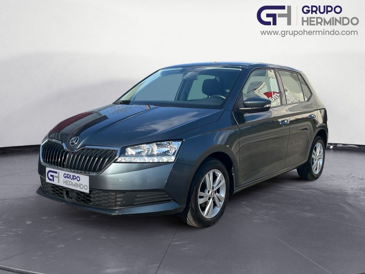 Pais  de segunda mano - skoda fabia 2020 /