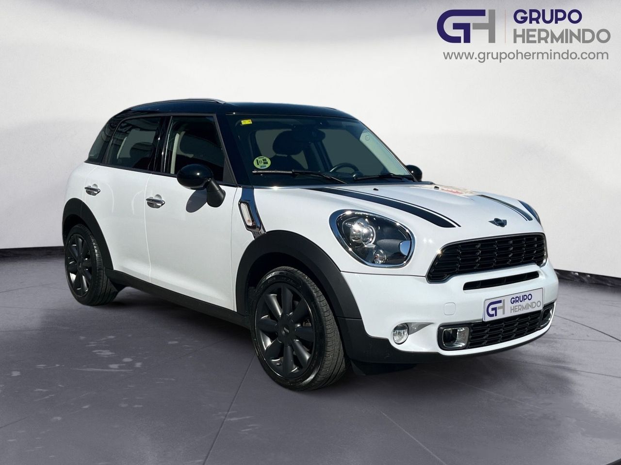 mini countryman 2014 / foto grande (2)