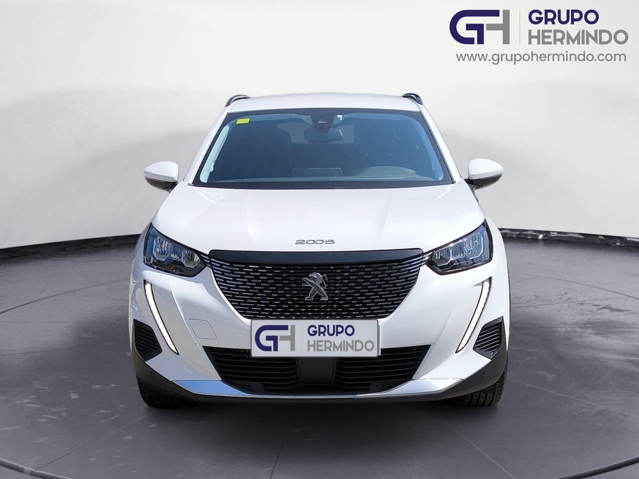 peugeot 2008 2020 / foto grande (3)