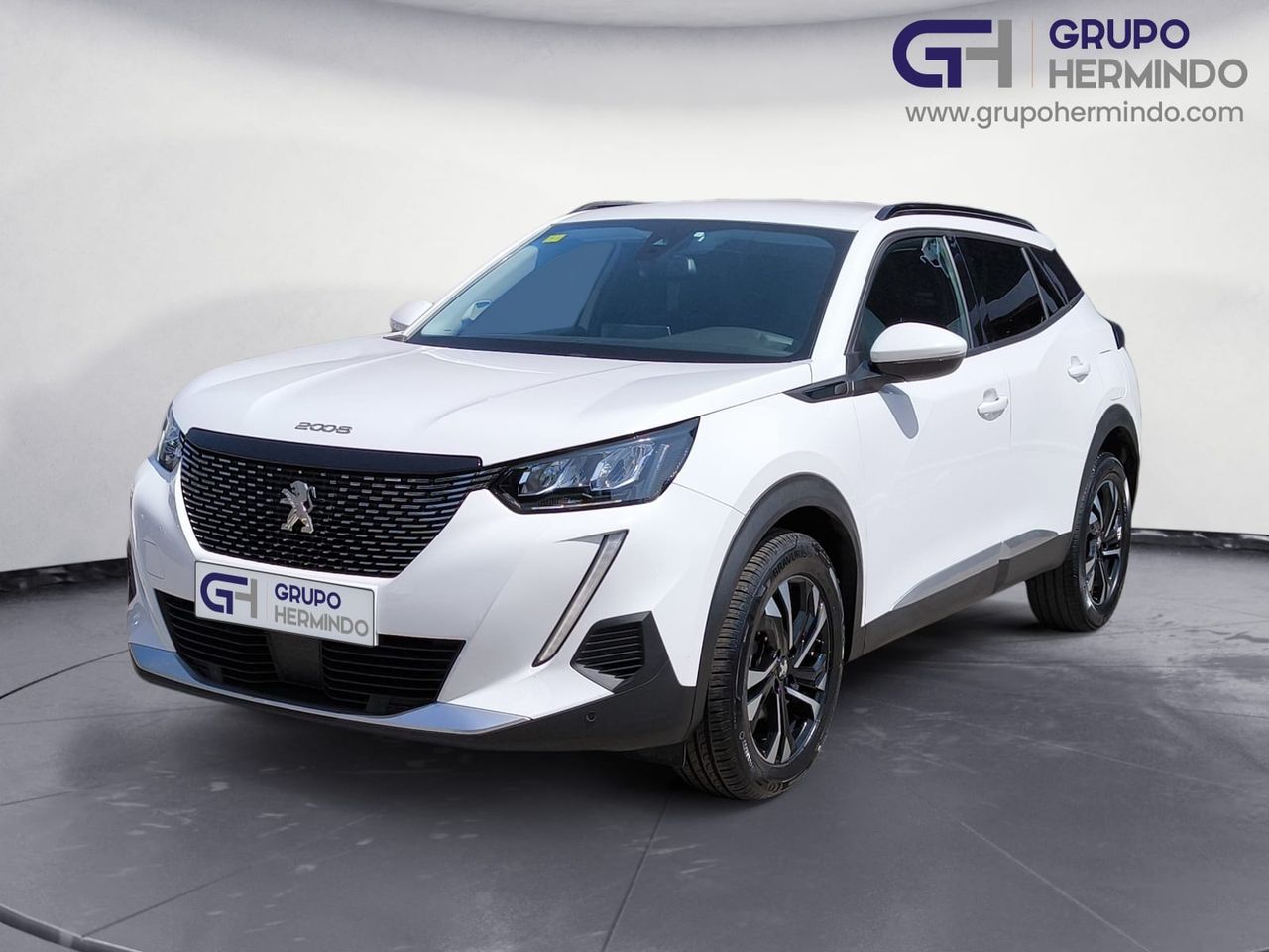peugeot 2008 2020 / foto grande (2)