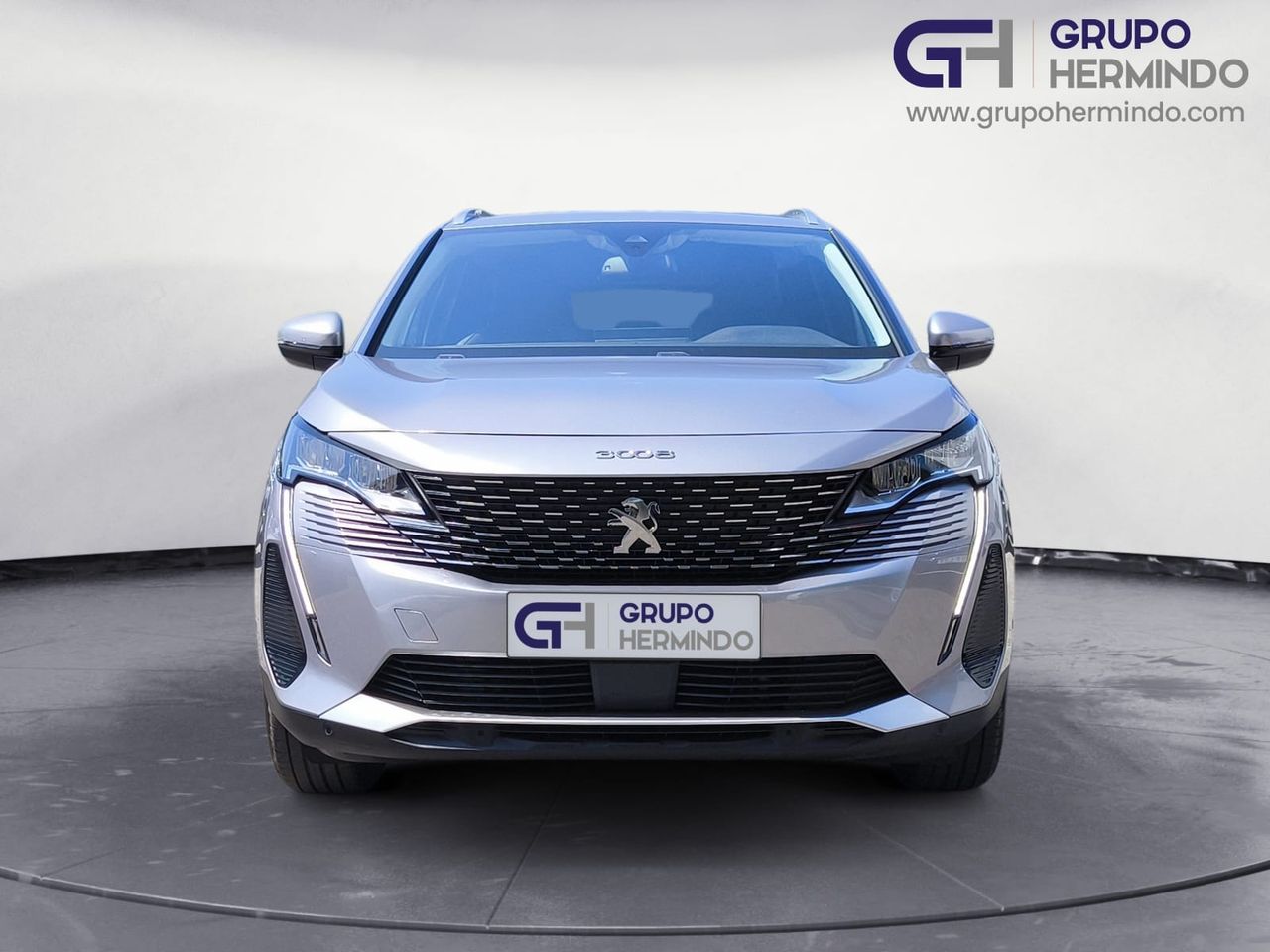 peugeot 3008 2021 / foto grande (3)