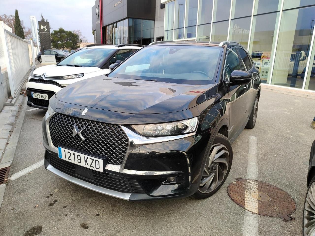 ds ds 7 2019 / foto grande (2)