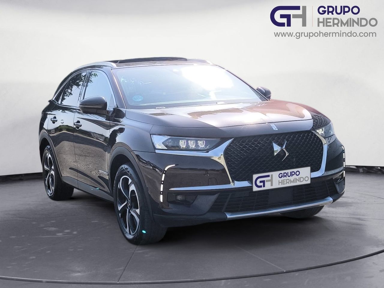 ds ds 7 2019 / foto grande (2)
