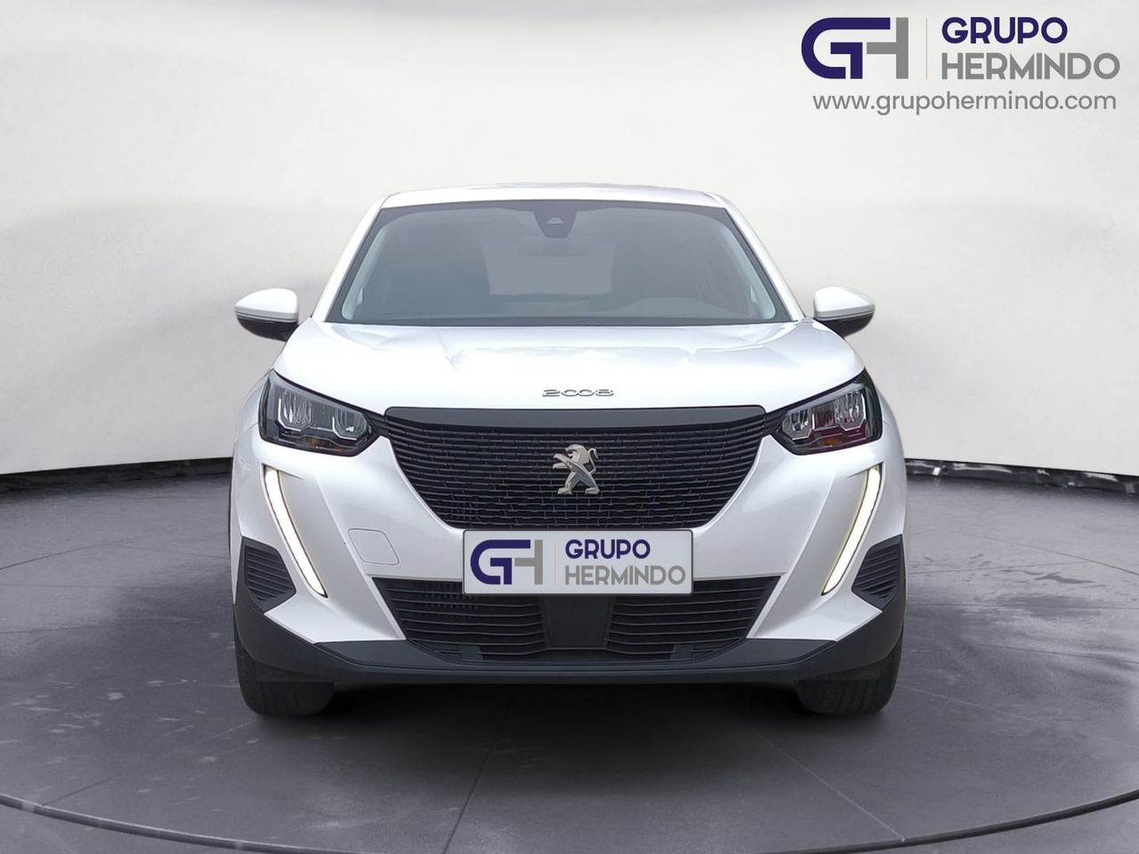 peugeot 2008 2020 / foto grande (3)