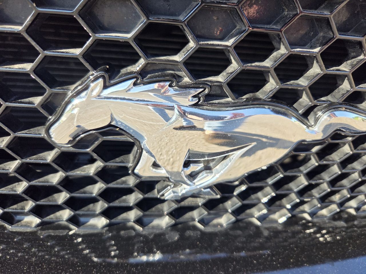 Ford Mustang CONVERTIBLE GT 5.0 TI-VCT 445 CV AT10 E6DT  - Foto 2