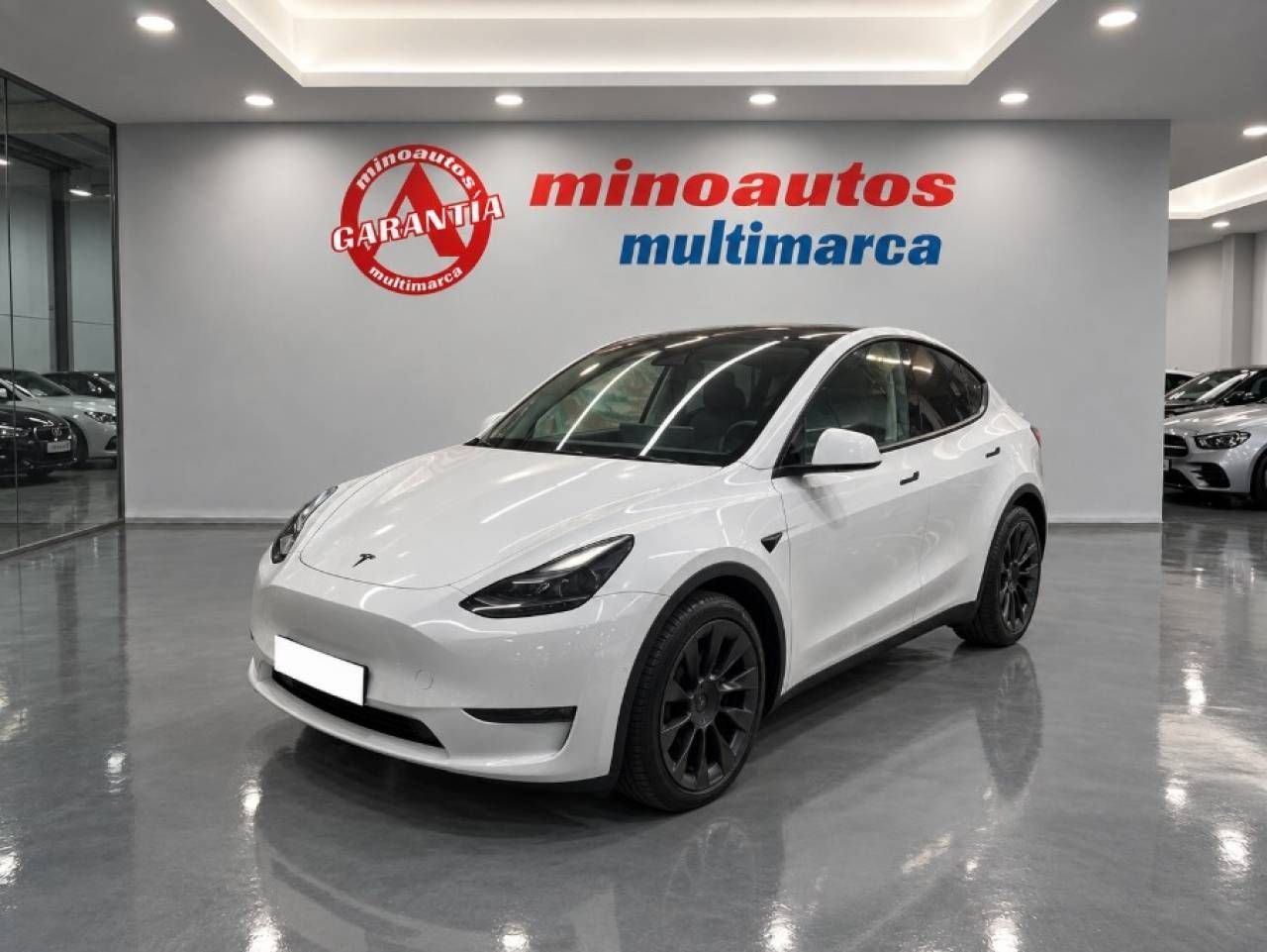 Tesla Model Y LONGE RANGE DUAL MOTOR AWD 514 CV